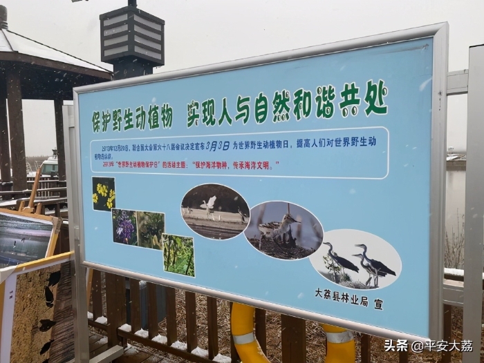 【同州警讯】陕西公安打击秋冬季野生动物违法犯罪活动在大荔启动